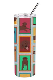 Lots of Chocolate Labrador Retriever Stainless Steel Skinny Tumbler Vacuum Double Walled Reusable Insulated Tumbler Travel Cup for Coffee Cocktails Gi